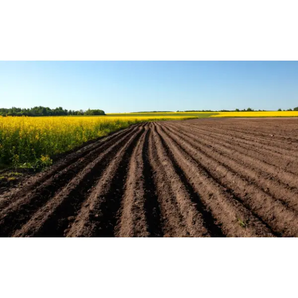 Мульчирование и аэрация: эффективные способы улучшения структуры почвы