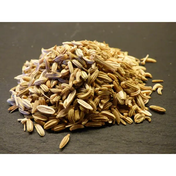 Использование протравителей семян: защита урожая без риска 