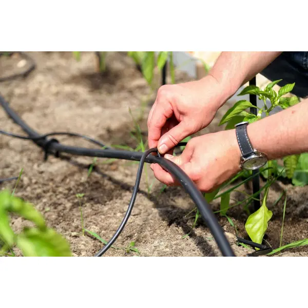 Как выбрать систему капельного полива для вашего участка