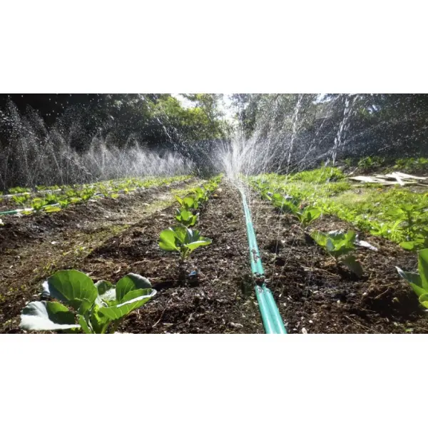 Енергоефективні рішення для парників