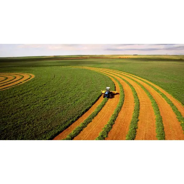 AgroGo: будущее сельского хозяйства уже здесь. Как цифровая платформа оптимизирует аренду техники и выполнение агроопераций