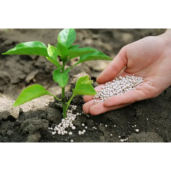 Вибір між органічними, мінеральними та органо-мінеральними добривами