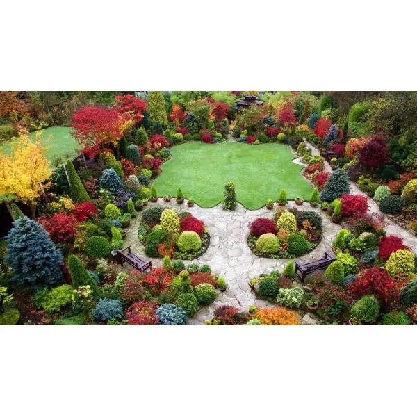 Догляд за декоративними рослинами протягом усього року.