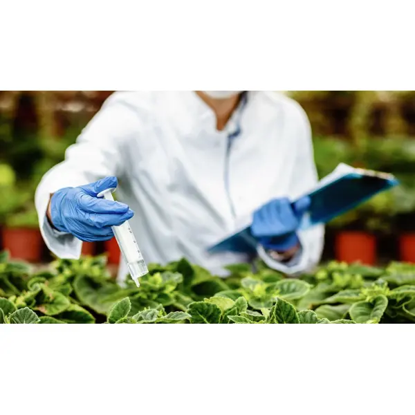 Что такое десикация и для чего она нужна?