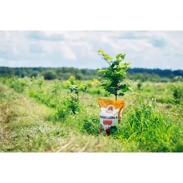 Чому варто купити мінеральні добрива від Тетра-Агро: найкращий вибір для аграріїв