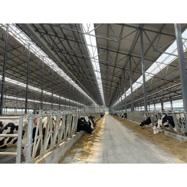 Світлопрозорі лінії з полікарбонату "Suntuf" у покрівлі: природне освітлення та захист від перегріву