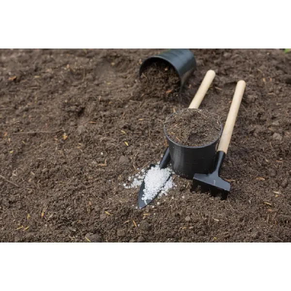 Які добрива найкраще вносити восени?