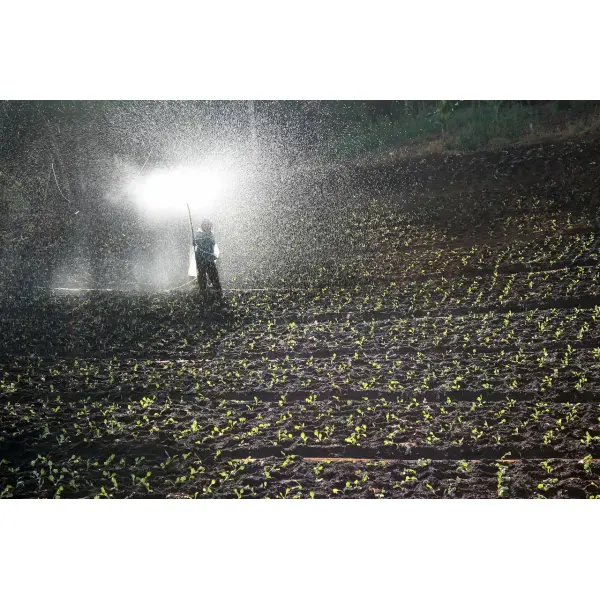 Какие удобрения выбрать для плодородной почвы?