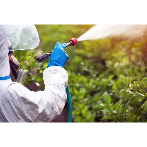 Системные фунгициды нового поколения: как работают комбинированные препараты