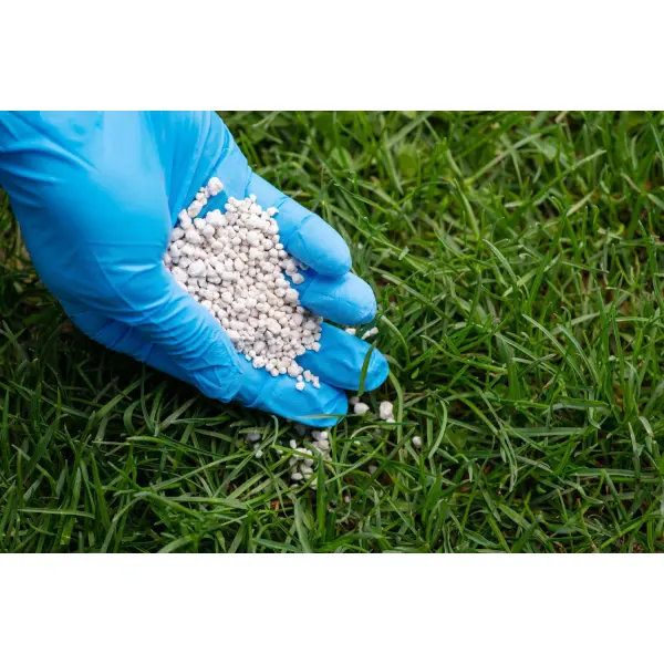 Весна, літо, осінь: яке добриво для газону обрати на кожен сезон