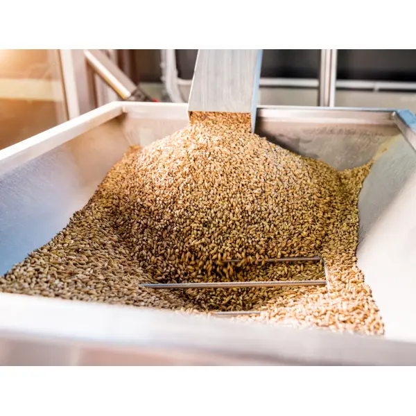 Топ 5 причин обрати зерносушарки Strahl для агробізнесу