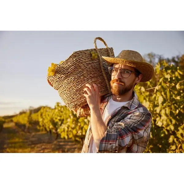 Защита спины и коленей агрономов