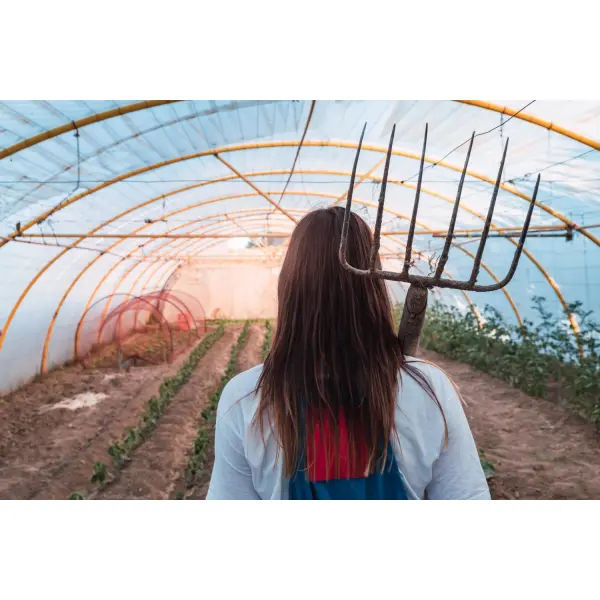 Отопление теплиц твердотопливными котлами: экономия для аграриев