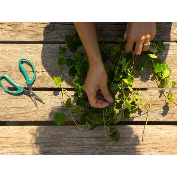 Безопасность без мифов: чем детские ножницы отличаются от взрослых