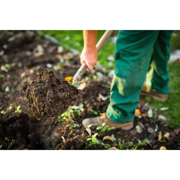 Осіннє підживлення ґрунту, як підготувати землю до зими