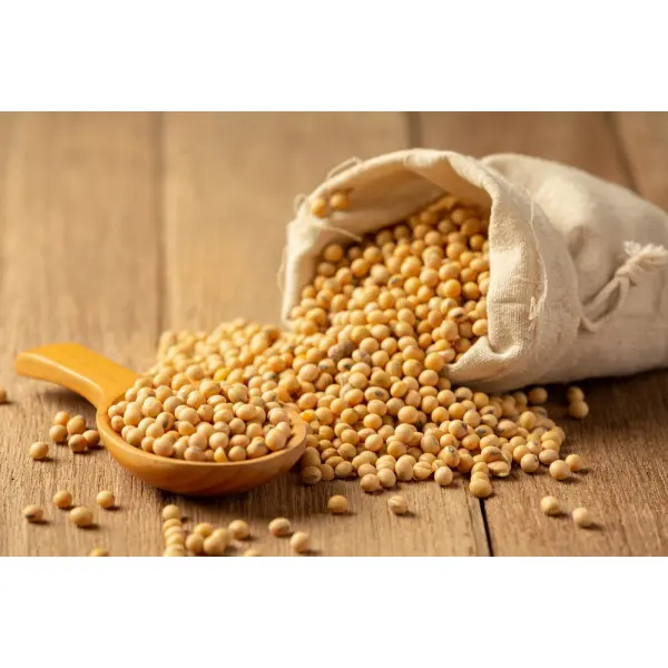 Ціна на сою наближається до шеститижневого мінімуму, оскільки Китай уникає поставок зі США