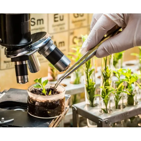 Методы селекции растений - от феминизированных семян до устойчивых сортов