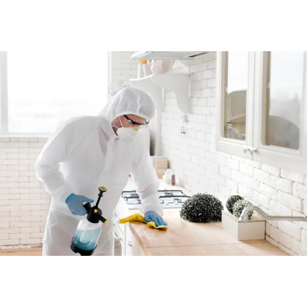 Профилактика грибков и плесени в хранилищах овощей: безопасная уборка, вентиляция и контроль влажности