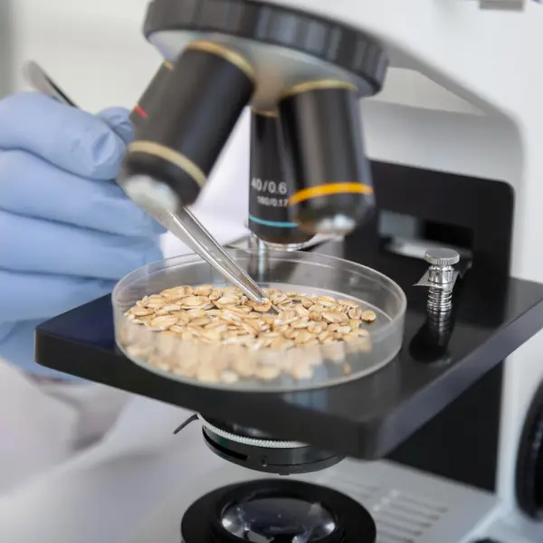 Определение качества зерна в лабораторных условиях и особенности оборудования