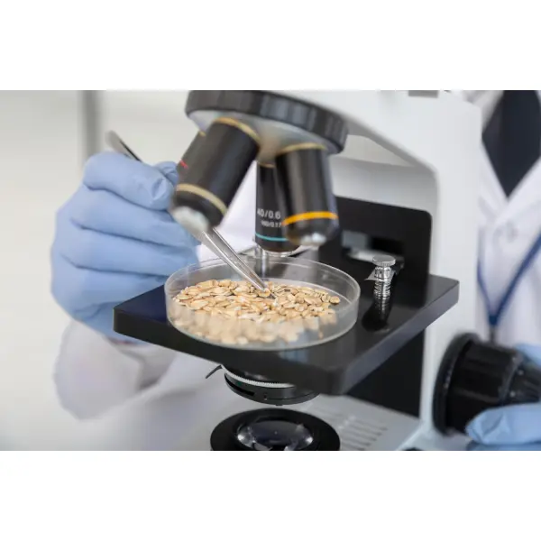 Определение качества зерна в лабораторных условиях и особенности оборудования