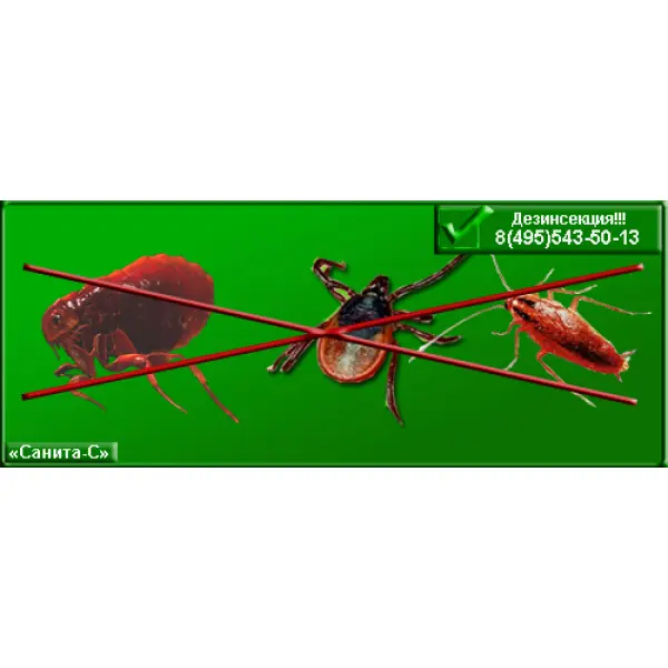 Дезинсекция от компании Санита-С