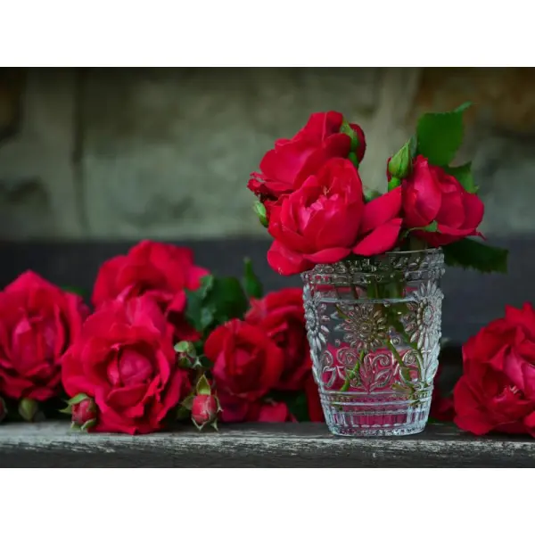 Гладиолусы: красивые виды и рекомендации по уходу от Florium.ua