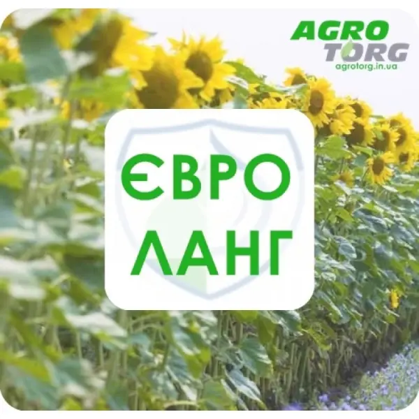 Что выбрать Евро Ланг или Евро Ленд?