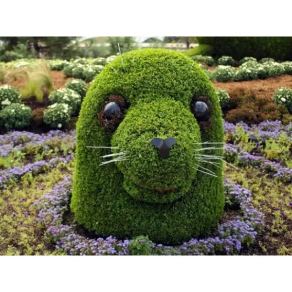 Что подходит для создания топиарий. Советы от Vip Plants