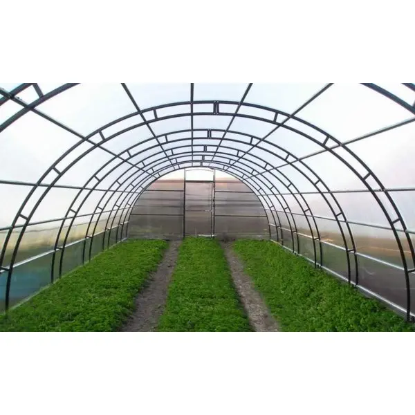 Промышленные теплицы: конструктивные особенности и ассортимент сооружений