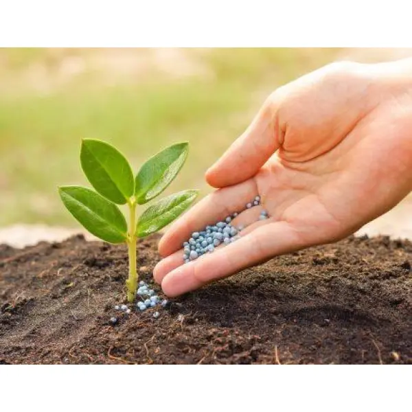 Как правильно выбрать удобрения