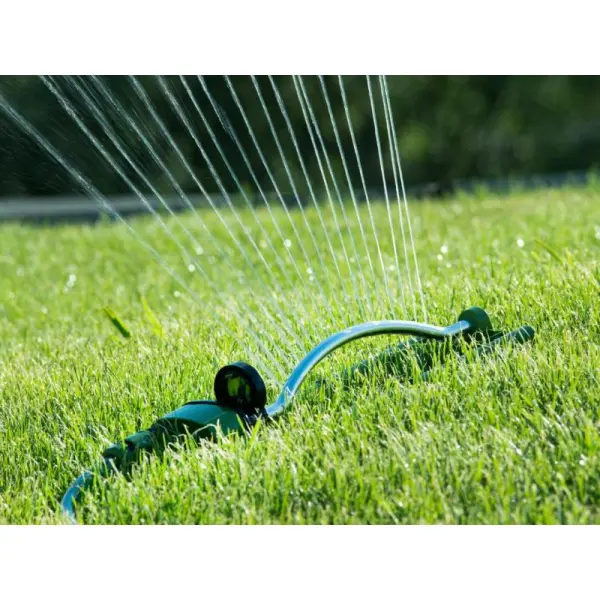 Капельное орошение как эффективный способ полива растений