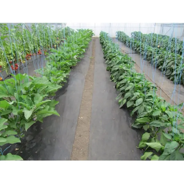 Основные разновидности агроволокна и его уникальные свойства