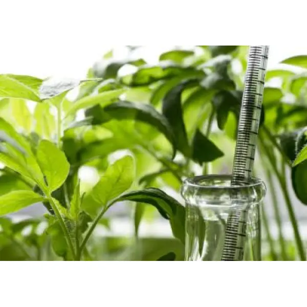 Биостимуляторы для растений: целевые задачи и принцип действия