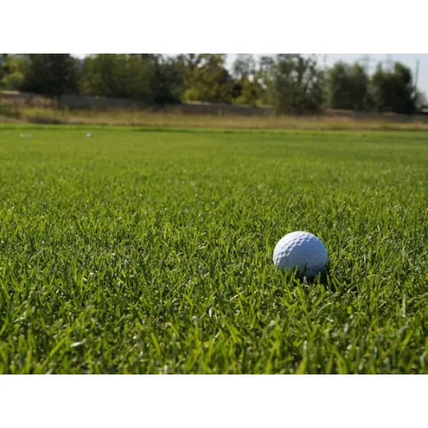 Рулонные газоны для обустройства спортивных площадок