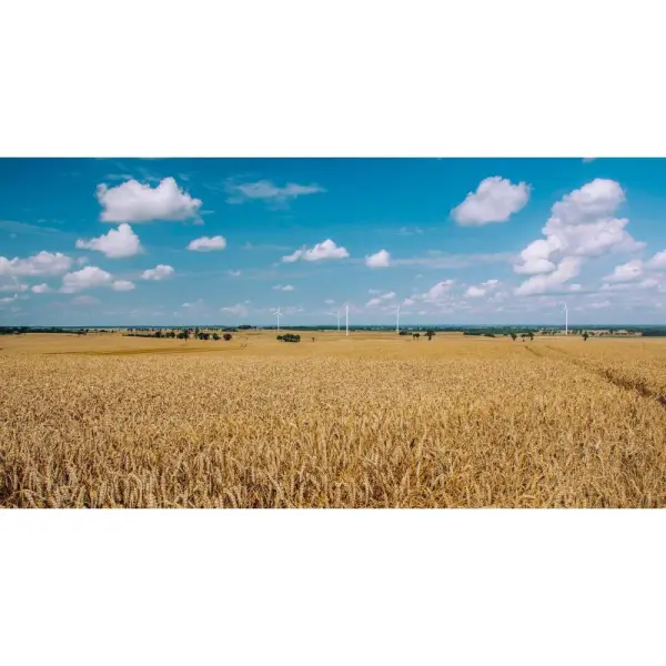 Неделя праздника работников сельского хозяйства ознаменовалась высоким Урожаем