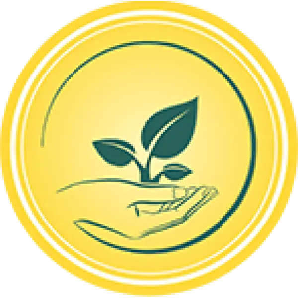 Рассадные кассеты и горшки из полистирола: преимущества эксплуатации