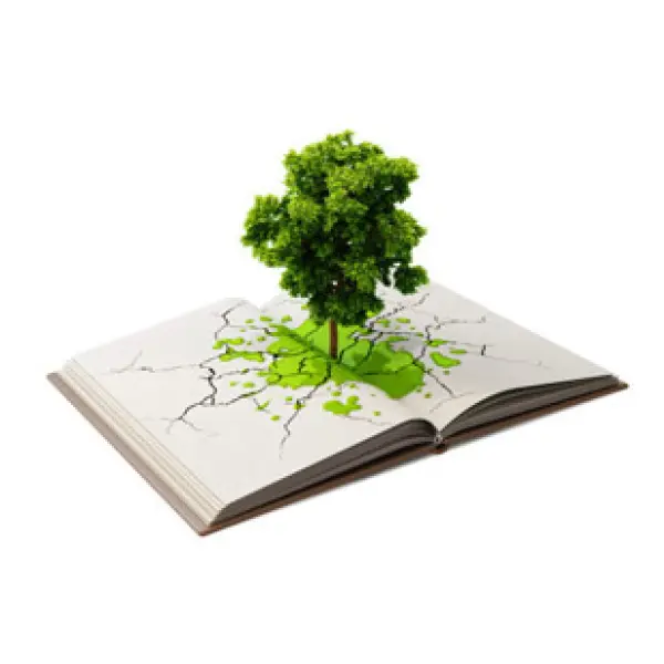 Классификация и виды минеральных удобрений