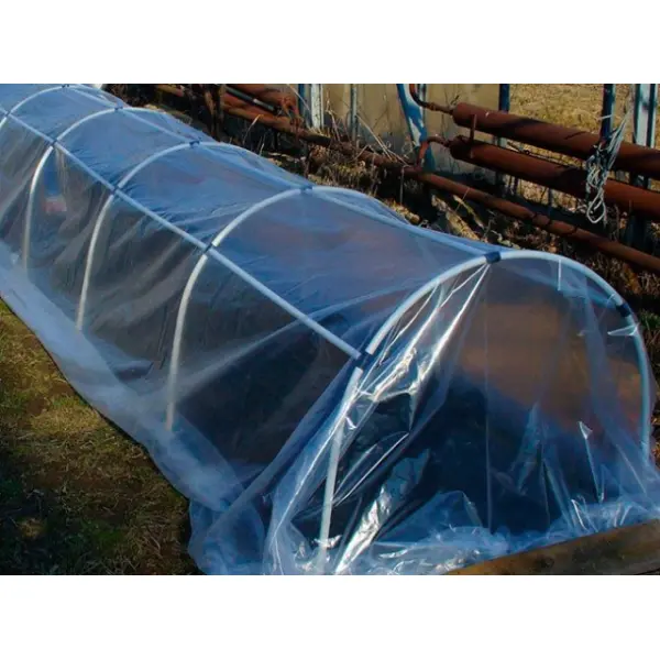 Парники для огурцов: как организовать