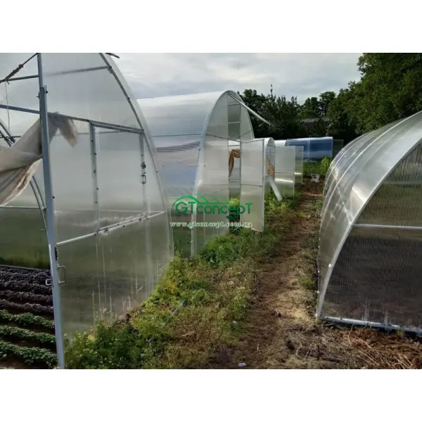 Органическое земледелие в теплице