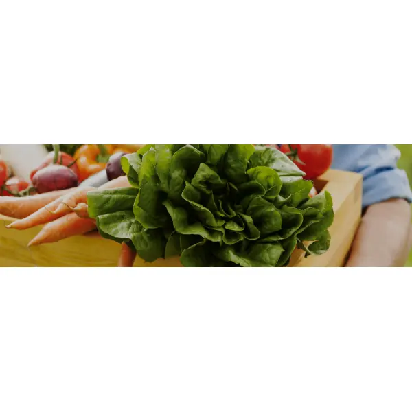 Электронная бизнес-площадка для аграриев: покупать и продавать оптом – просто