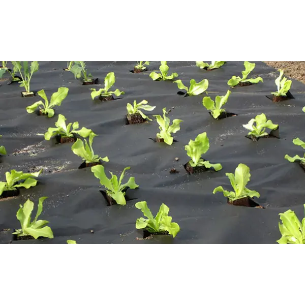 Черное и белое: о типах агроволокна, их плюсах и применении