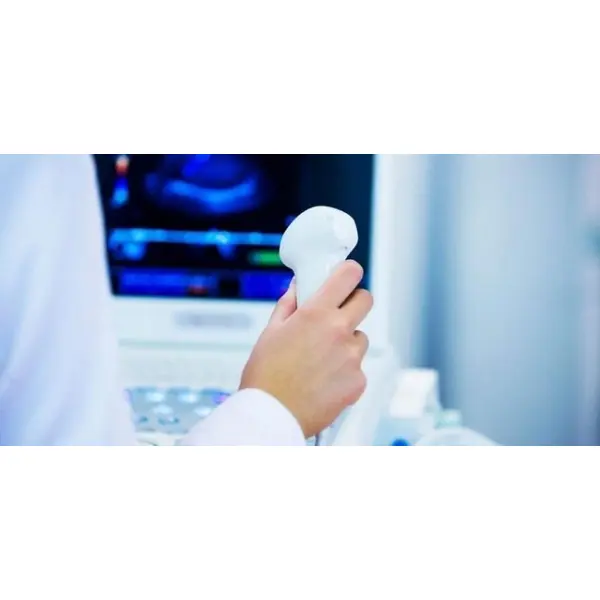 Лучшие ветеринарные УЗИ аппараты в Украине