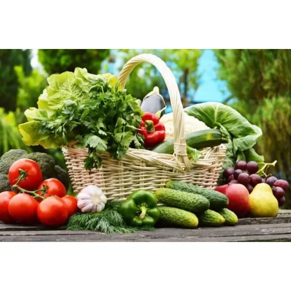 Виды эффективных удобрений и их преимущества