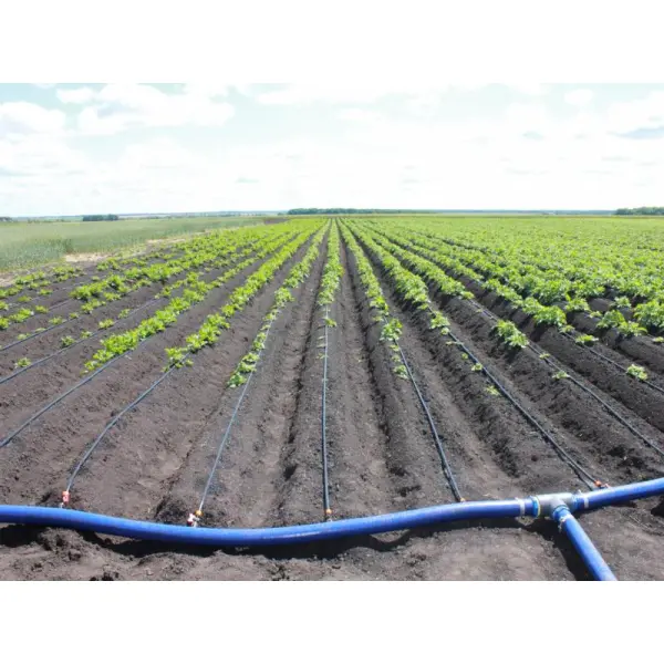 Повышаем урожайность с помощью капельного полива