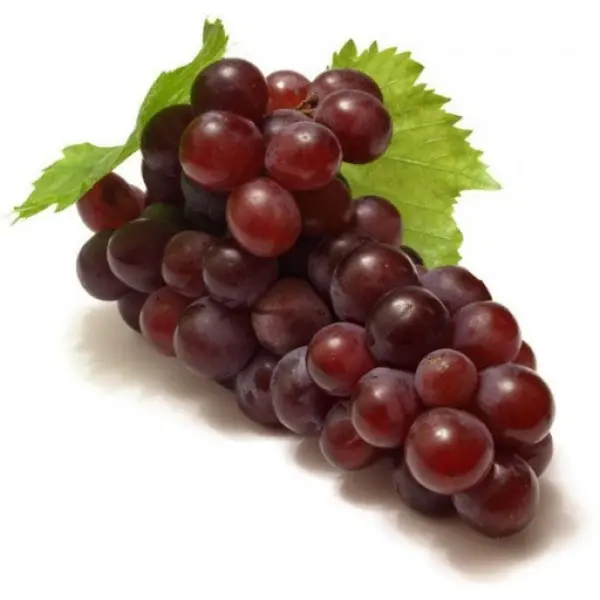 Виноград Низина – морозостойкий столовый сорт с «вишневым» привкусом