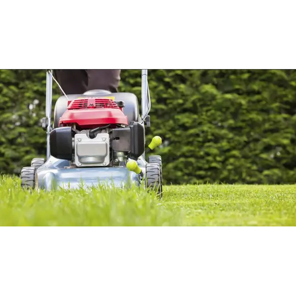 Какая садовая техника нужна для ухода за газоном