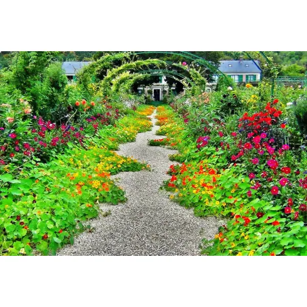 Сад и его убранство