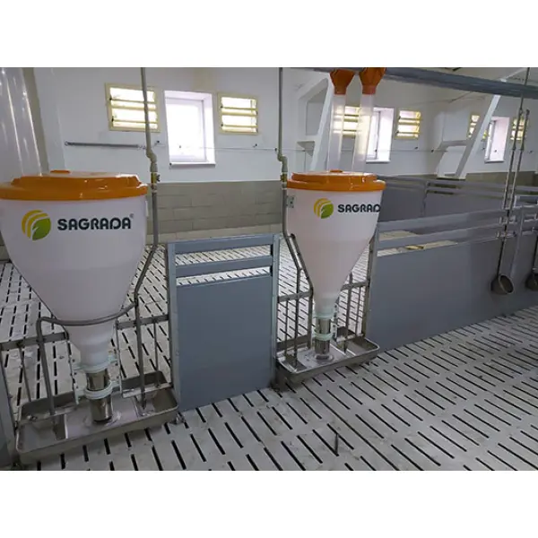 Кормление свиней