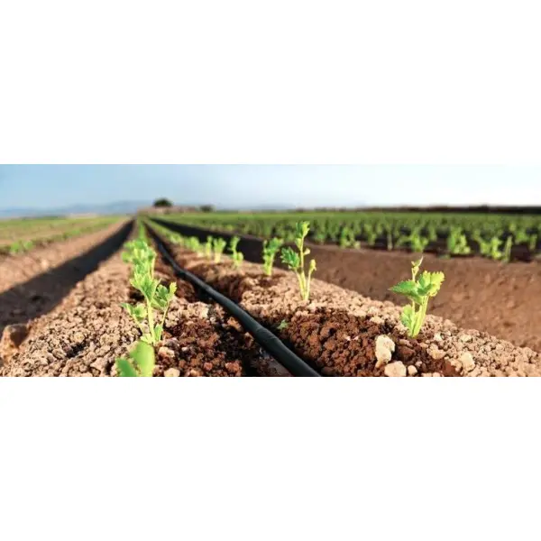 Эмиттерные или щелевые капельные ленты - какие лучше