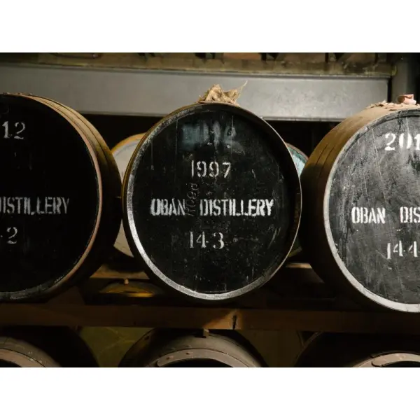 Односолодовый виски: сорта и особенности выбора